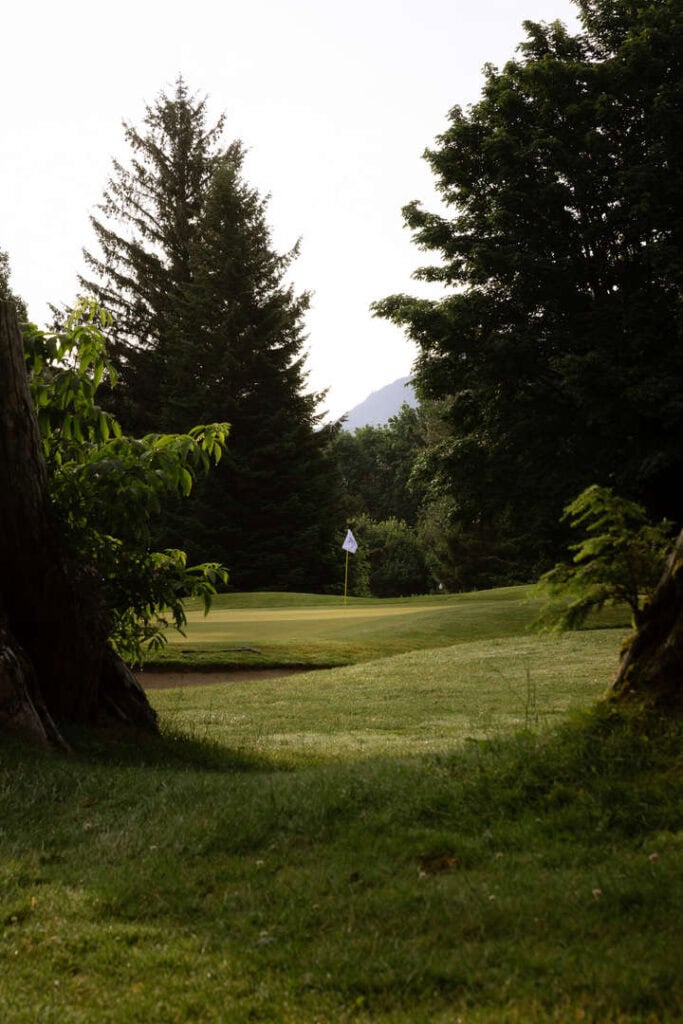 Golf green with flag surrounded by tall trees and mountain views.